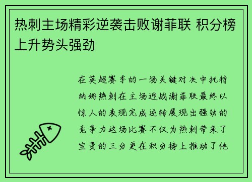 热刺主场精彩逆袭击败谢菲联 积分榜上升势头强劲