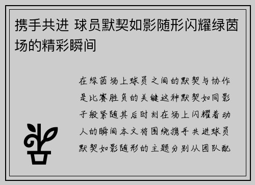 携手共进 球员默契如影随形闪耀绿茵场的精彩瞬间
